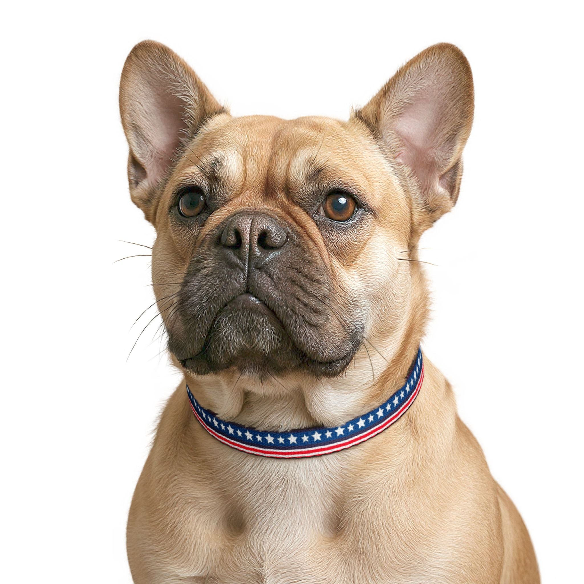 Clip-On Pet Collar — Red White Blue Pattern