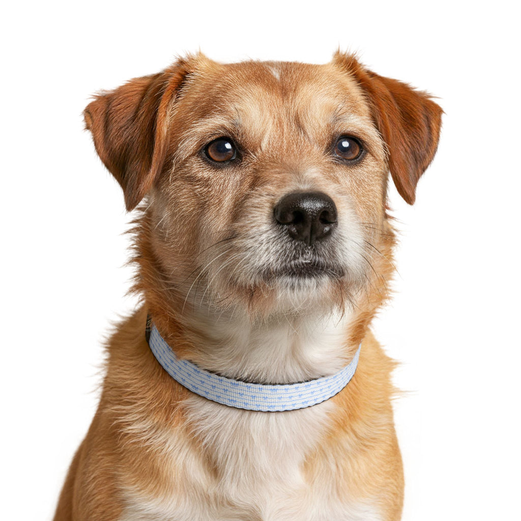 Clip-On Pet Collar — Light Blue Bow Pattern