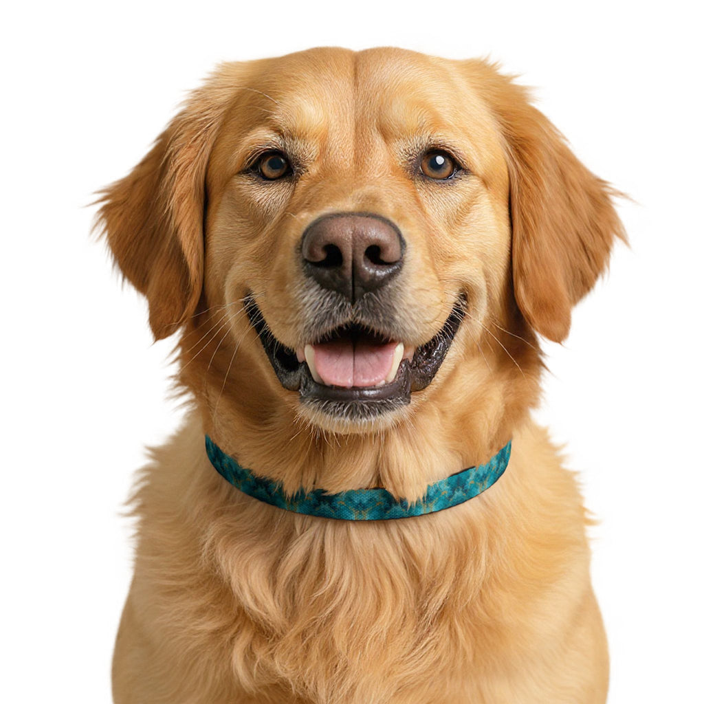Clip-on Pet Collar —Blue Watercolor Pattern