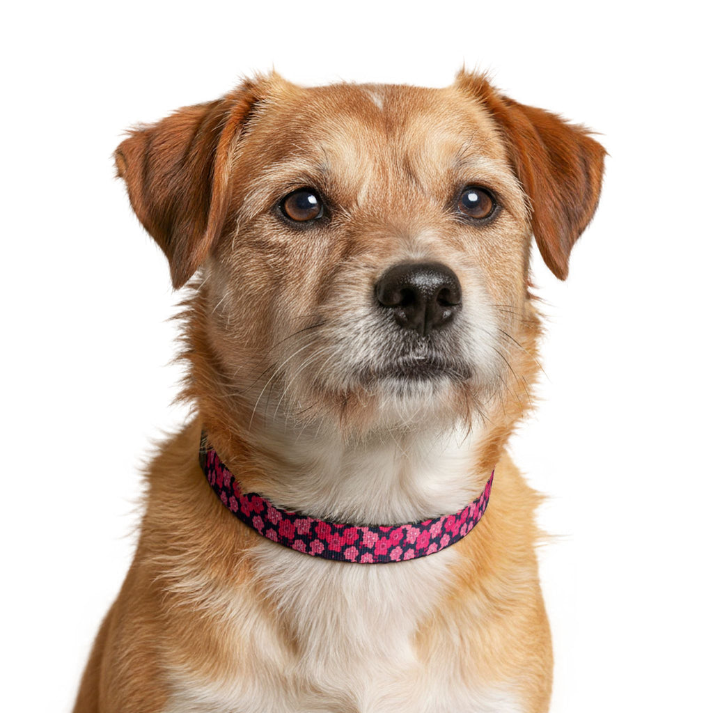 Clip-On Pet Collar — Pink Floral Pattern