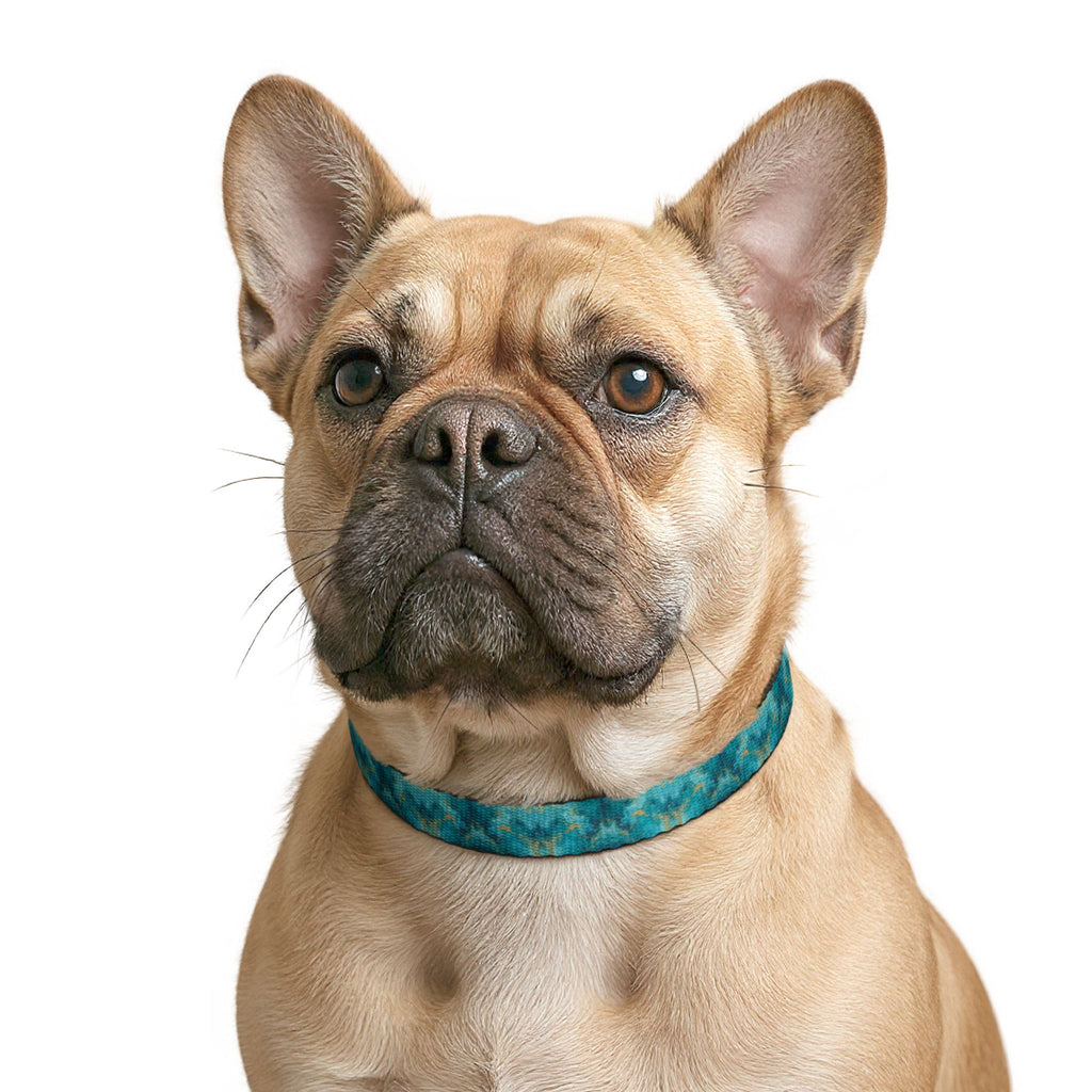 Clip-on Pet Collar —Blue Watercolor Pattern