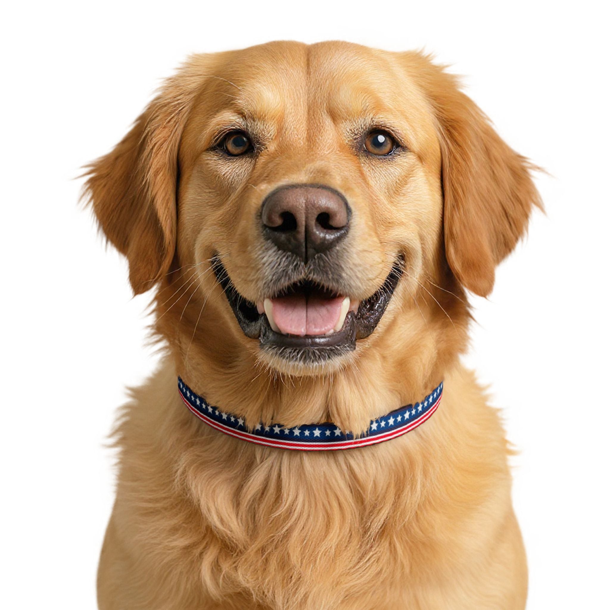 Clip-On Pet Collar — Red White Blue Pattern