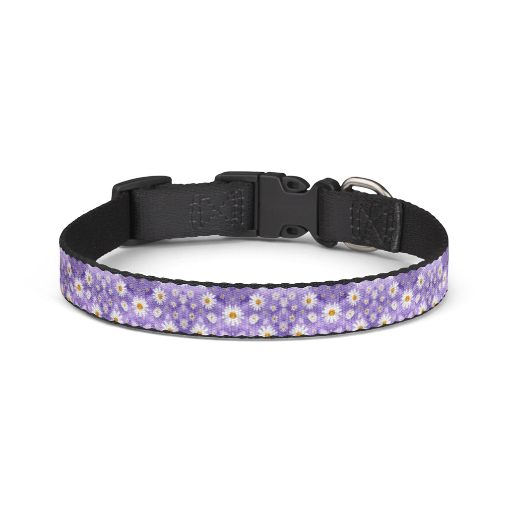 Clip-On Pet Collar — Lavender with Daisy Pattern