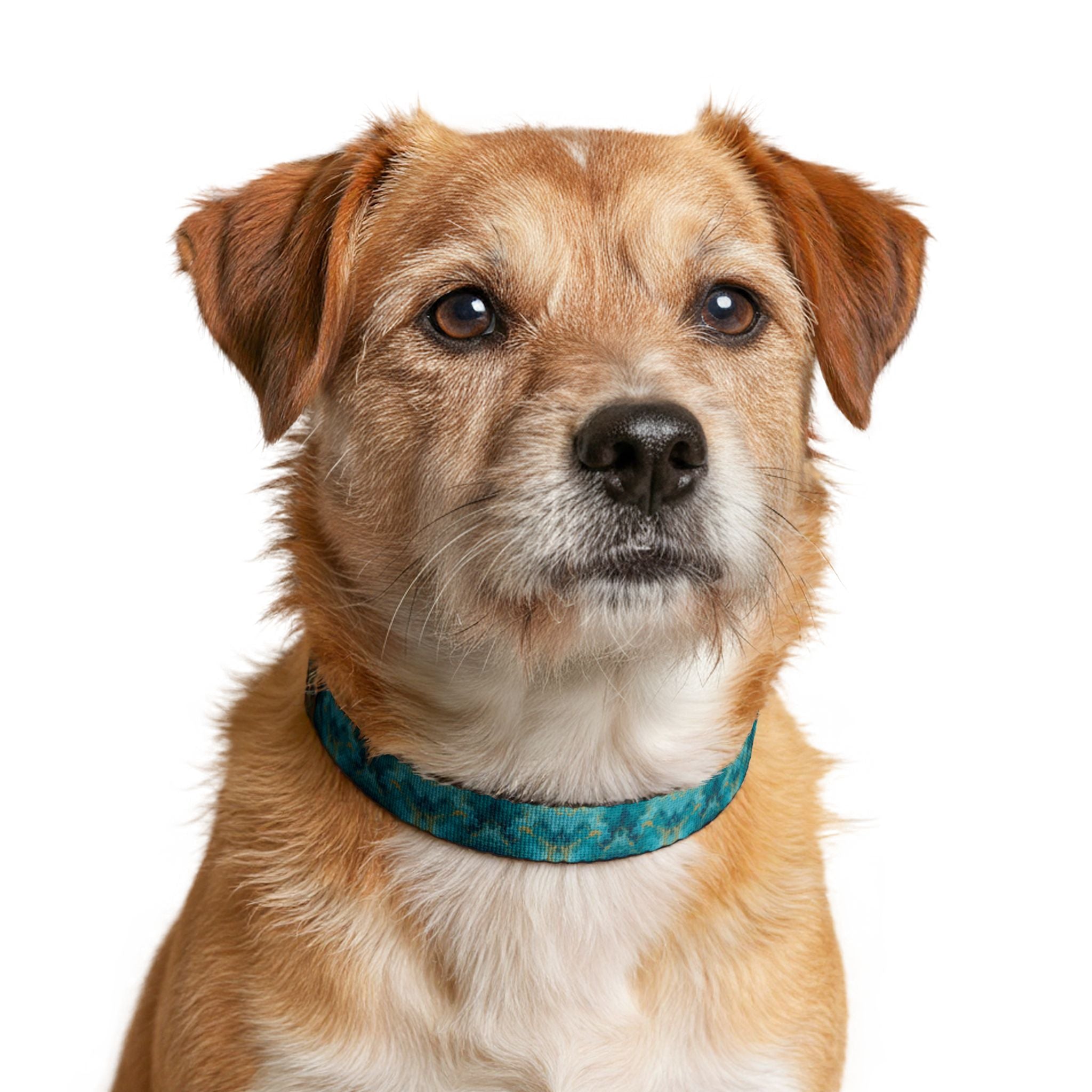 Clip-on Pet Collar —Blue Watercolor Pattern