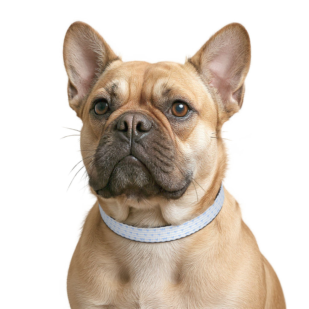 Clip-On Pet Collar — Light Blue Bow Pattern
