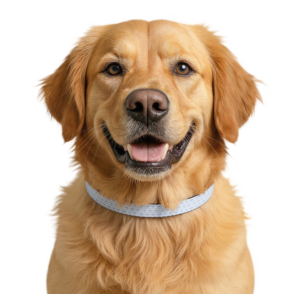 Clip-On Pet Collar — Light Blue Bow Pattern