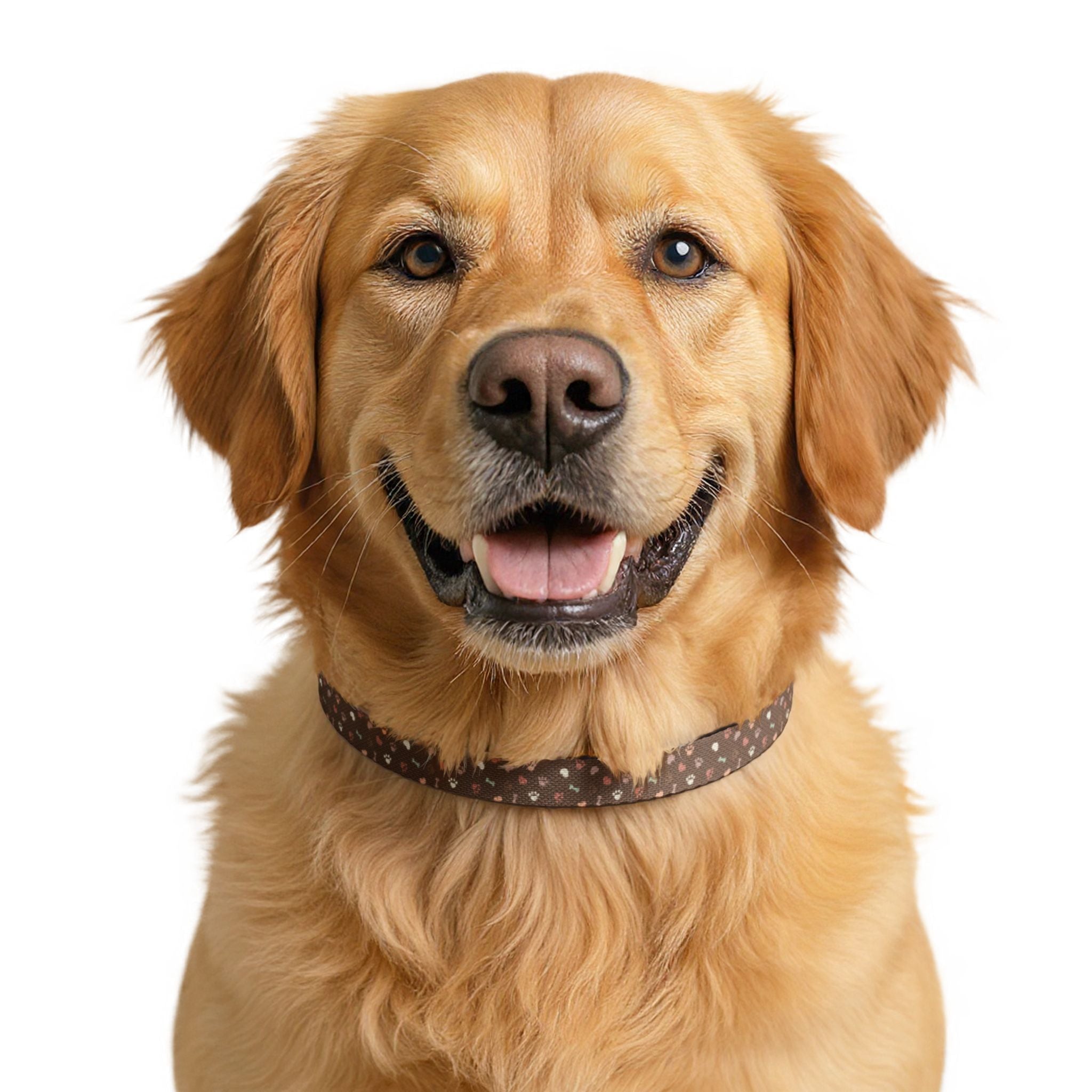 Clip-On Pet Collar –Brown Bone and Paw Print