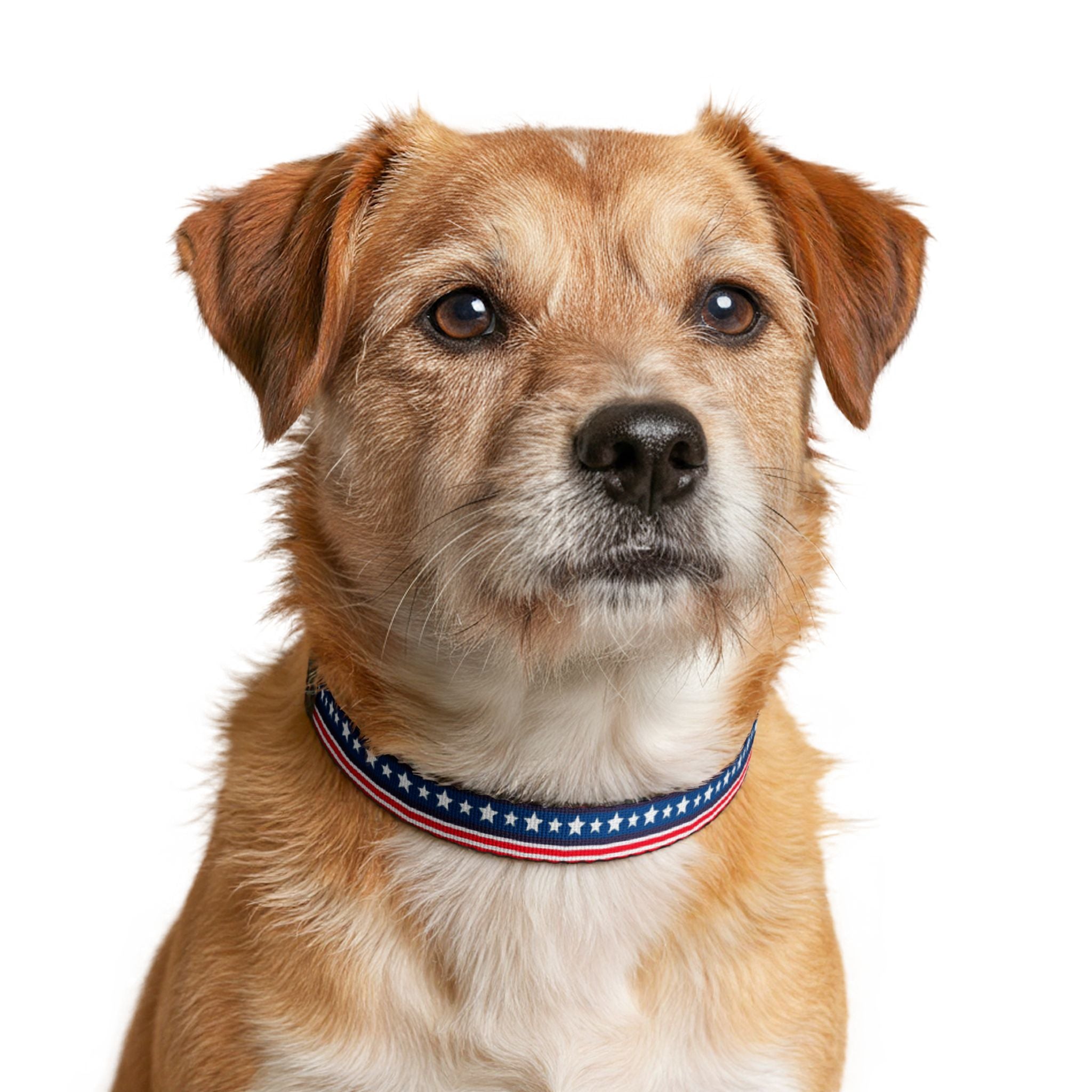 Clip-On Pet Collar — Red White Blue Pattern